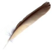 ma plume